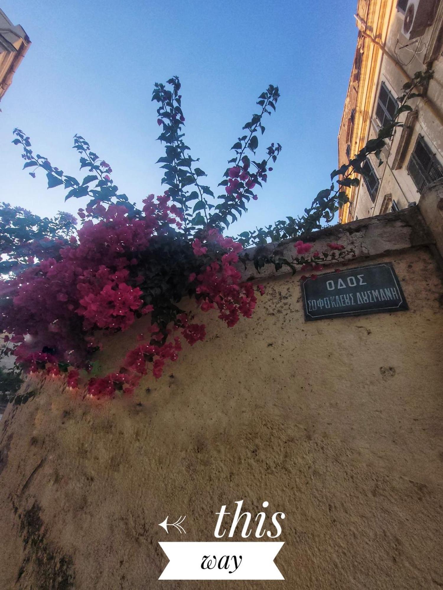 Nenas Volto Apartment Corfu  Exterior foto
